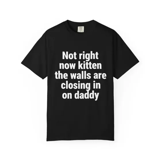 Not Right Now Kitten, The Walls Are Closing In On Daddy tee